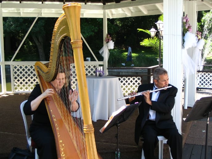 Gallery photo 4 of Dorian James Entertainment