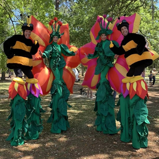 Gallery photo 7 of D Squared Productions, Inc.