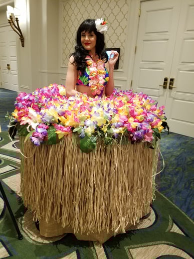 Gallery photo 13 of D Squared Productions, Inc.