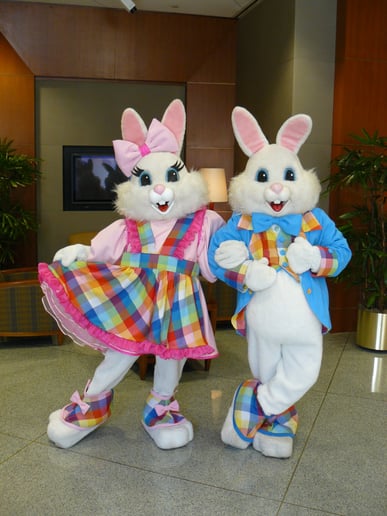 Gallery photo 27 of D Squared Productions, Inc.