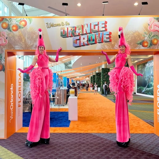 Gallery photo 40 of D Squared Productions, Inc.