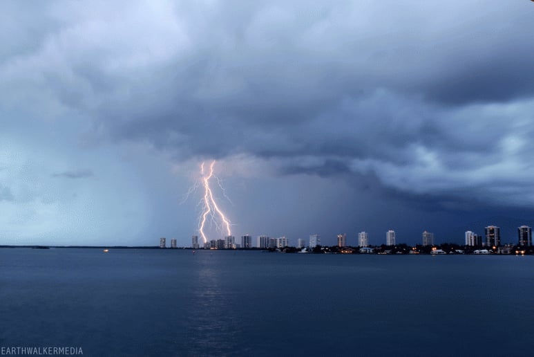 Gallery photo 3 of Earthwalker Media