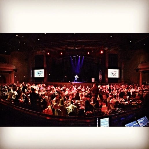 Gallery photo 29 of Jared Violin