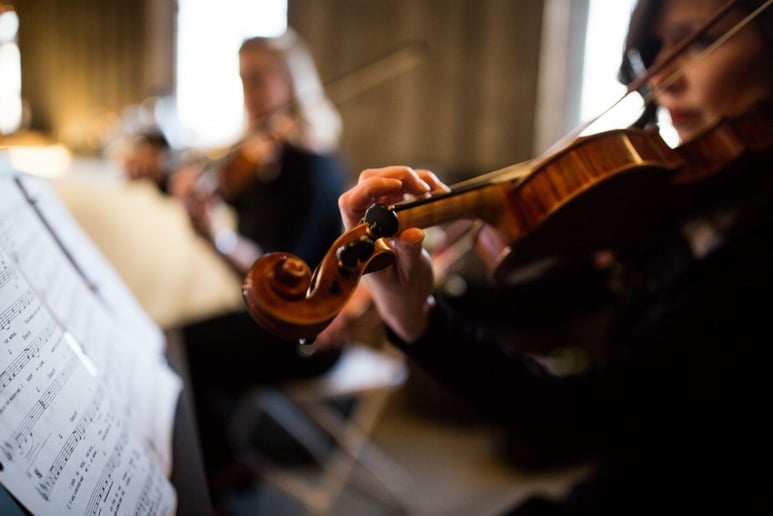 Gallery photo 1 of Elegancia Violin Duet