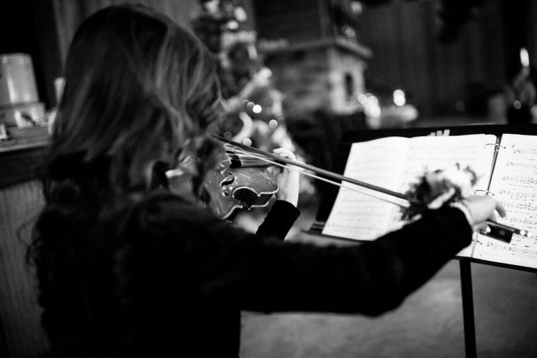 Gallery photo 2 of Elegancia Violin Duet