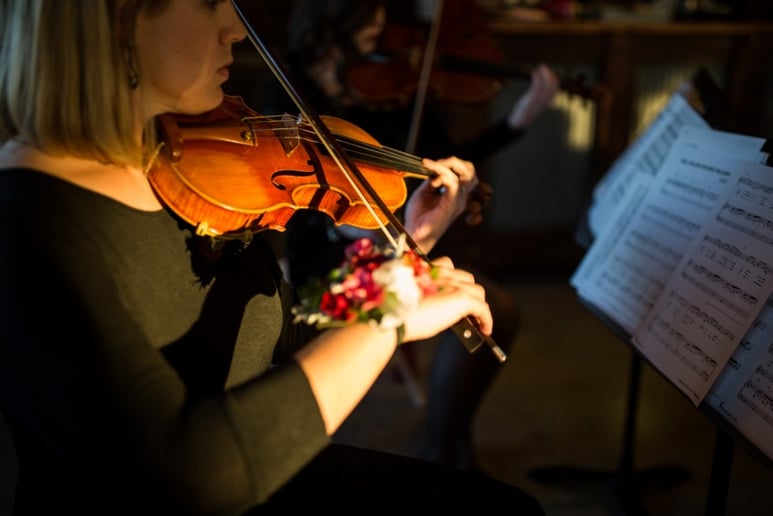 Gallery photo 3 of Elegancia Violin Duet
