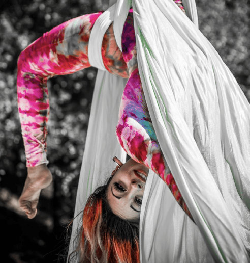 Gallery photo 6 of  Synergy Entertainment