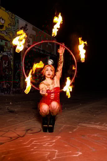 Gallery photo 4 of  Synergy Entertainment