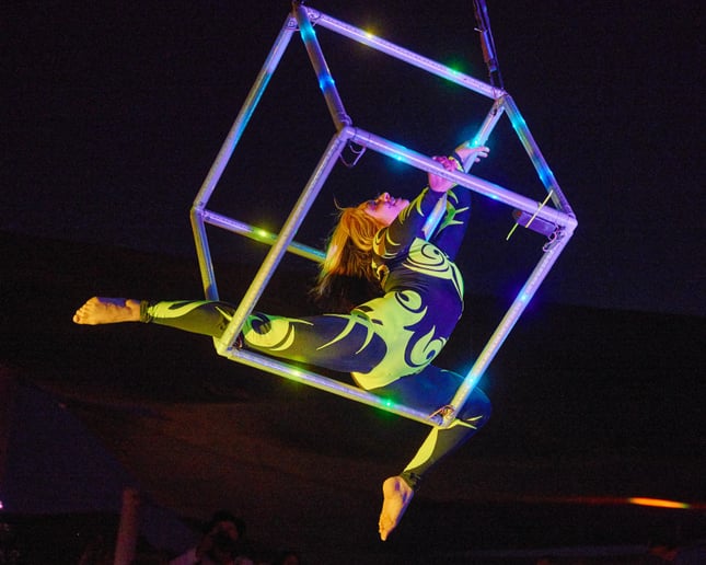 Gallery photo 10 of  Synergy Entertainment