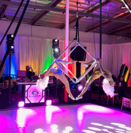 Gallery photo 14 of  Synergy Entertainment
