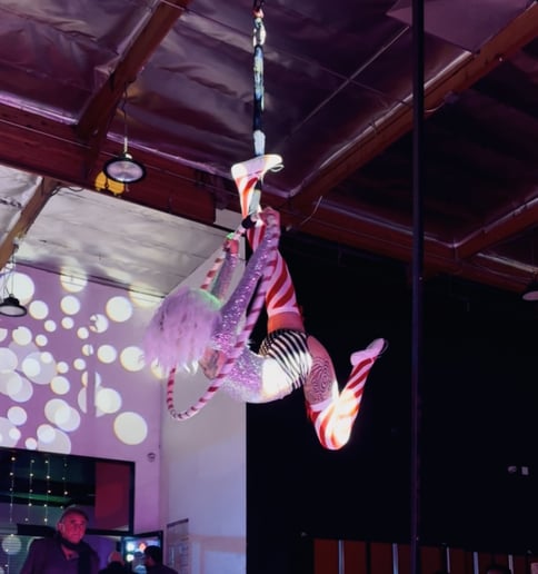 Gallery photo 15 of  Synergy Entertainment