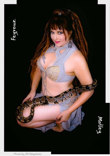 Gallery photo 3 of Feyrose Bellydancer