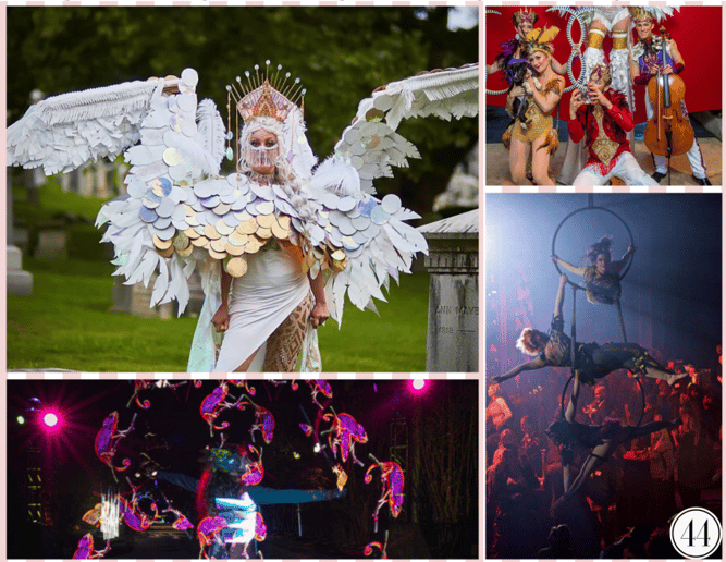 Gallery photo 10 of Envoute