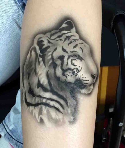 Gallery photo 7 of Face Paint Pizzazz