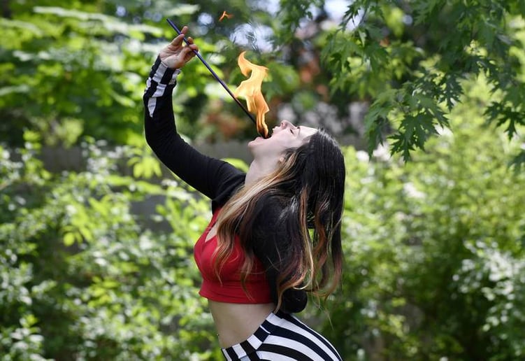 Gallery photo 10 of Firebolly