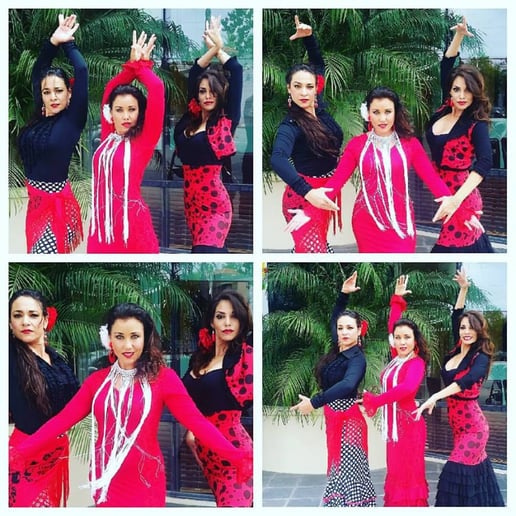 Gallery photo 7 of Flamenco Tropical