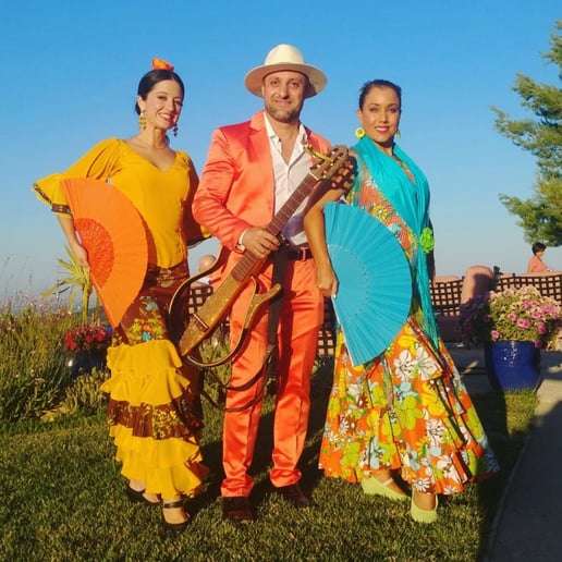 Gallery photo 2 of Flamenco Tropical