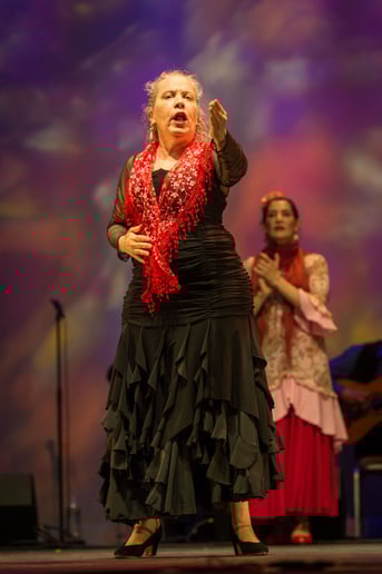 Gallery photo 2 of Flamenco Latino