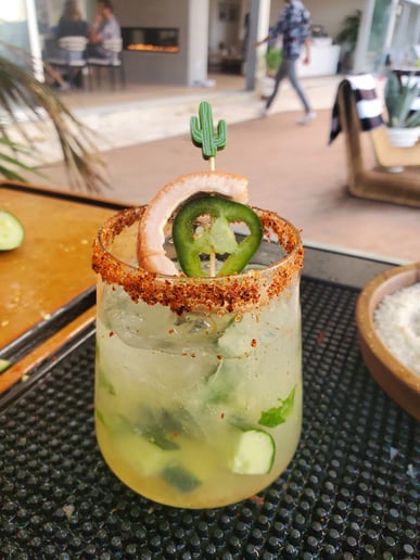 Gallery photo 8 of GYD Party Services