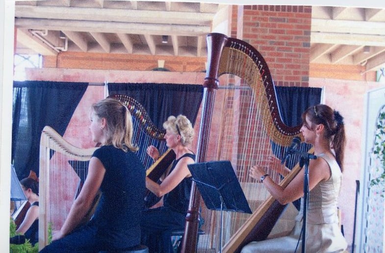Gallery photo 3 of Harpist/Pianist Gina Edwards