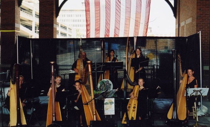 Gallery photo 4 of Harpist/Pianist Gina Edwards