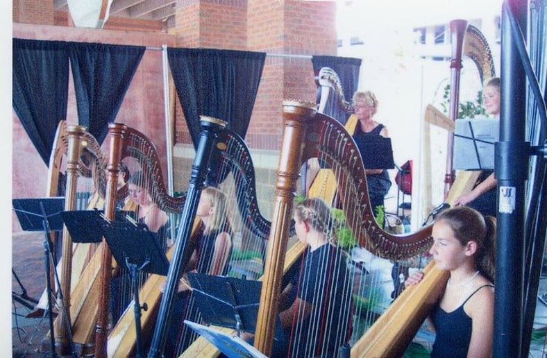 Gallery photo 9 of Harpist/Pianist Gina Edwards