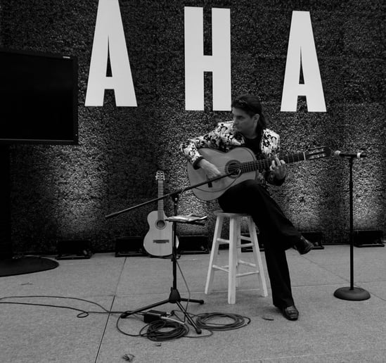 Gallery photo 4 of Greg Reiter - Flamenco Guitarist