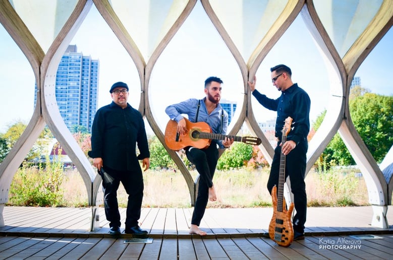 Gallery photo 1 of Guillermo Paolisso, Guitarist