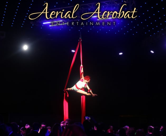 Gallery photo 4 of Aerial Acrobat & Circus Entertainment