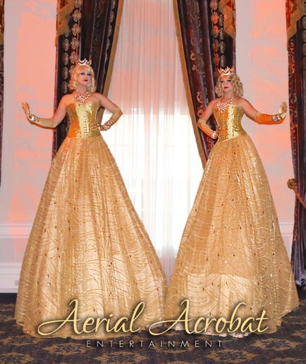 Gallery photo 5 of Aerial Acrobat & Circus Entertainment