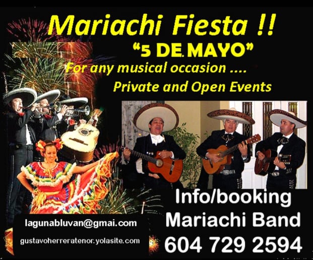 Gallery photo 4 of Gustavo Herrera "Pop and Opera Singer" (Tenor)