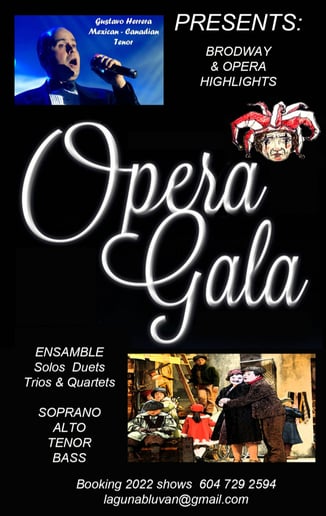 Gallery photo 5 of Gustavo Herrera "Pop and Opera Singer" (Tenor)