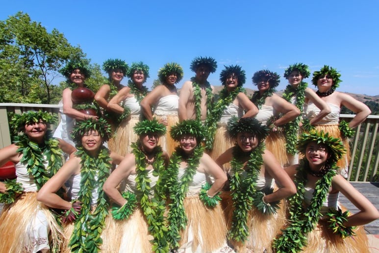 Gallery photo 8 of Haopinaka - Hawaiian Music and Dance
