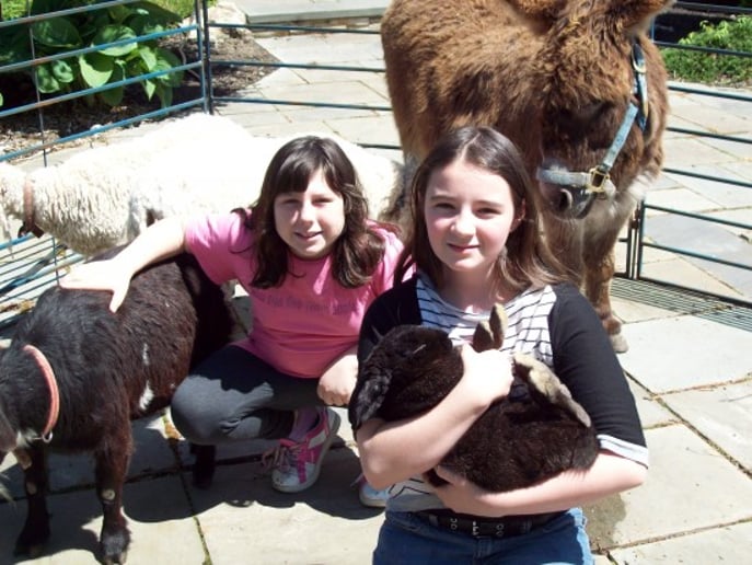 Gallery photo 5 of Happy Trails Ponies and Petting Zoo
