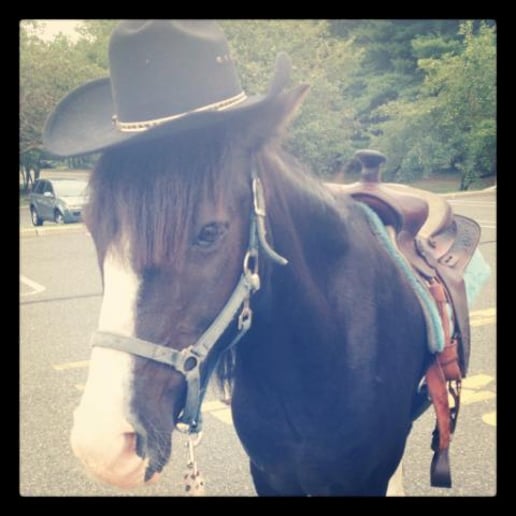 Gallery photo 6 of Happy Trails Ponies and Petting Zoo