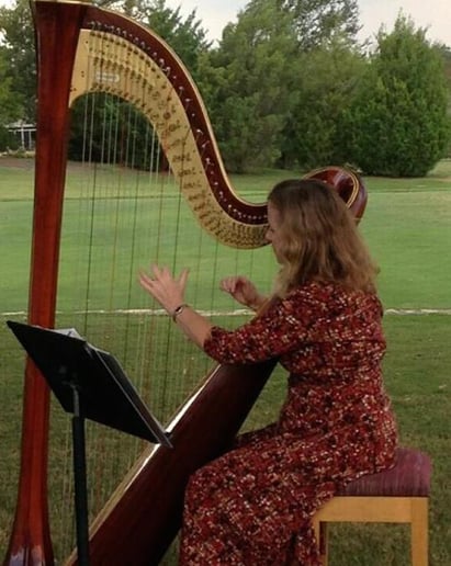 Gallery photo 2 of Harp Music By Laurel