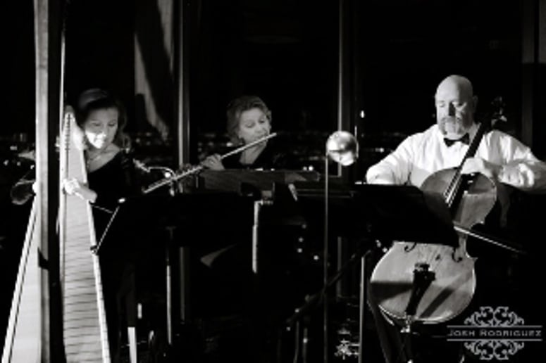 Gallery photo 5 of Harp Music By Laurel