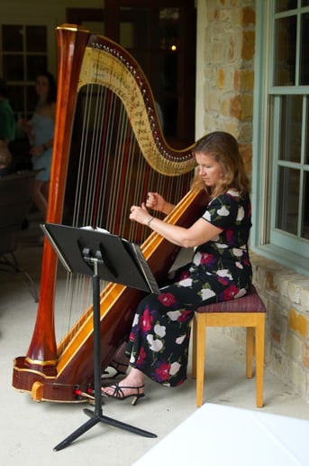 Gallery photo 4 of Harp Music By Laurel