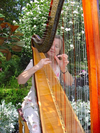 Gallery photo 3 of Harp Music By Laurel