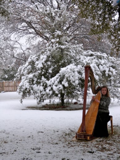 Gallery photo 7 of Harp Music By Laurel