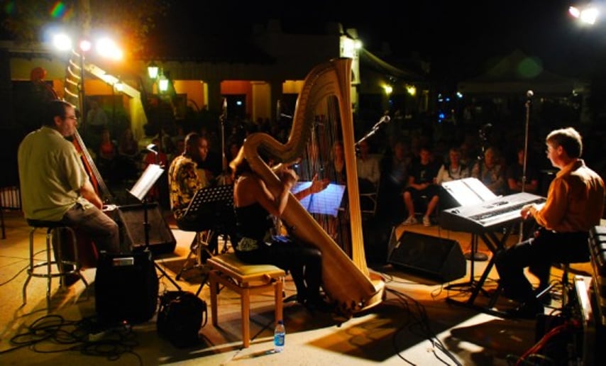 Gallery photo 9 of Christine Vivona