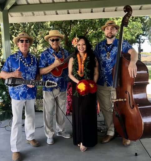 Gallery photo 3 of Hula dancer/Hawaiian wedding dancer