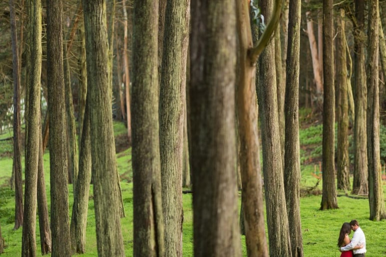 Gallery photo 12 of Ian Chin Photography