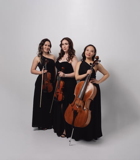 Gallery photo 2 of Sin City Strings by Impulse Strings