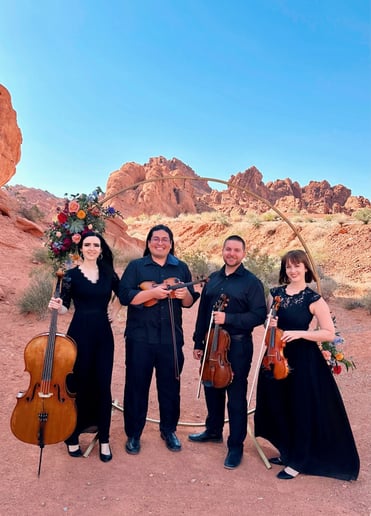 Gallery photo 18 of Sin City Strings by Impulse Strings