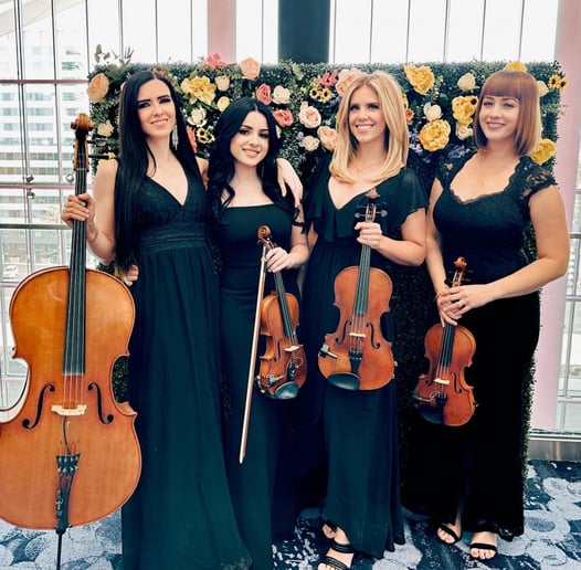 Gallery photo 14 of Sin City Strings by Impulse Strings