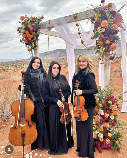 Gallery photo 7 of Sin City Strings by Impulse Strings