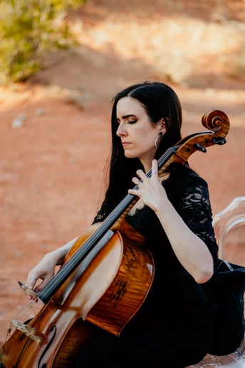 Gallery photo 17 of Sin City Strings by Impulse Strings