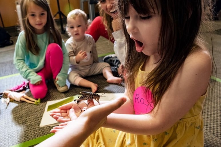 Gallery photo 1 of Insect Discovery Lab