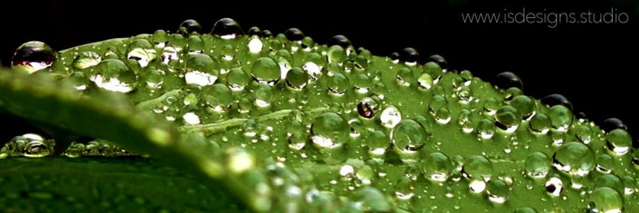 Gallery photo 2 of ISDesigns Studio